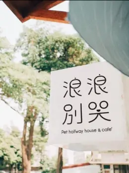 文章圖片