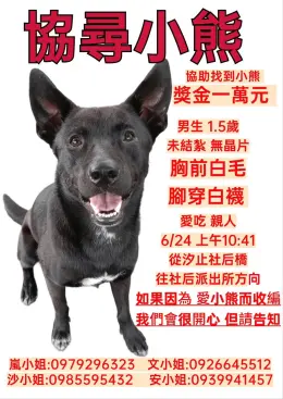 文章圖片