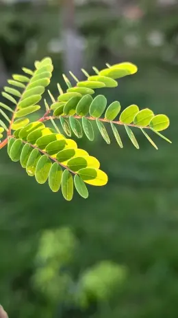 文章圖片