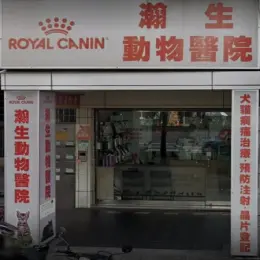 文章圖片