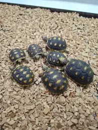 文章圖片