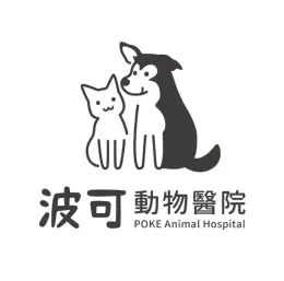 文章圖片