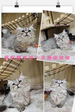 文章圖片