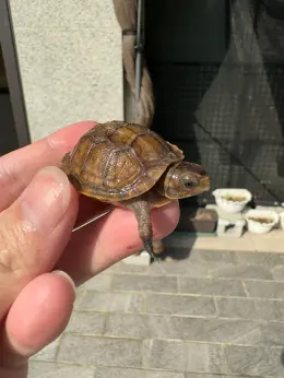 文章圖片