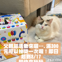文章圖片