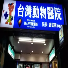 文章圖片