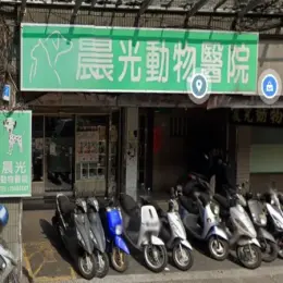 文章圖片