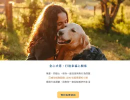 文章圖片