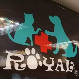 文章圖片