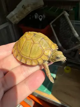 文章圖片