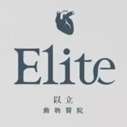 文章圖片