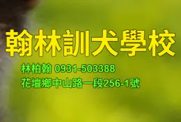 文章圖片