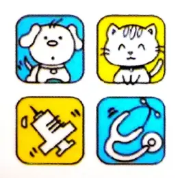 文章圖片