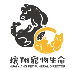文章圖片