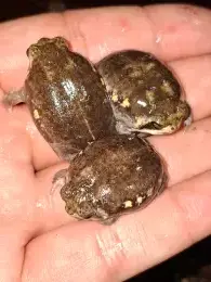 文章圖片
