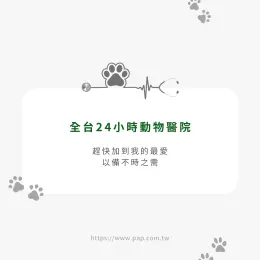 文章圖片