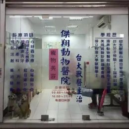 文章圖片
