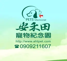 文章圖片