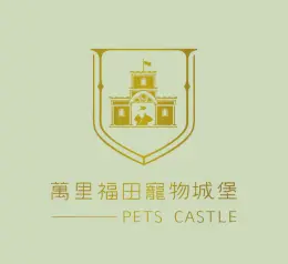 文章圖片