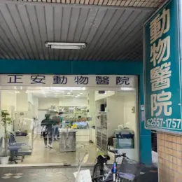 文章圖片