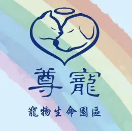 文章圖片