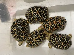 文章圖片