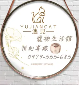 文章圖片