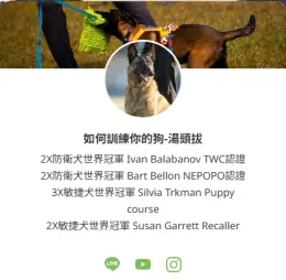 文章圖片