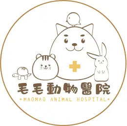 文章圖片