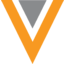 VEEV icon