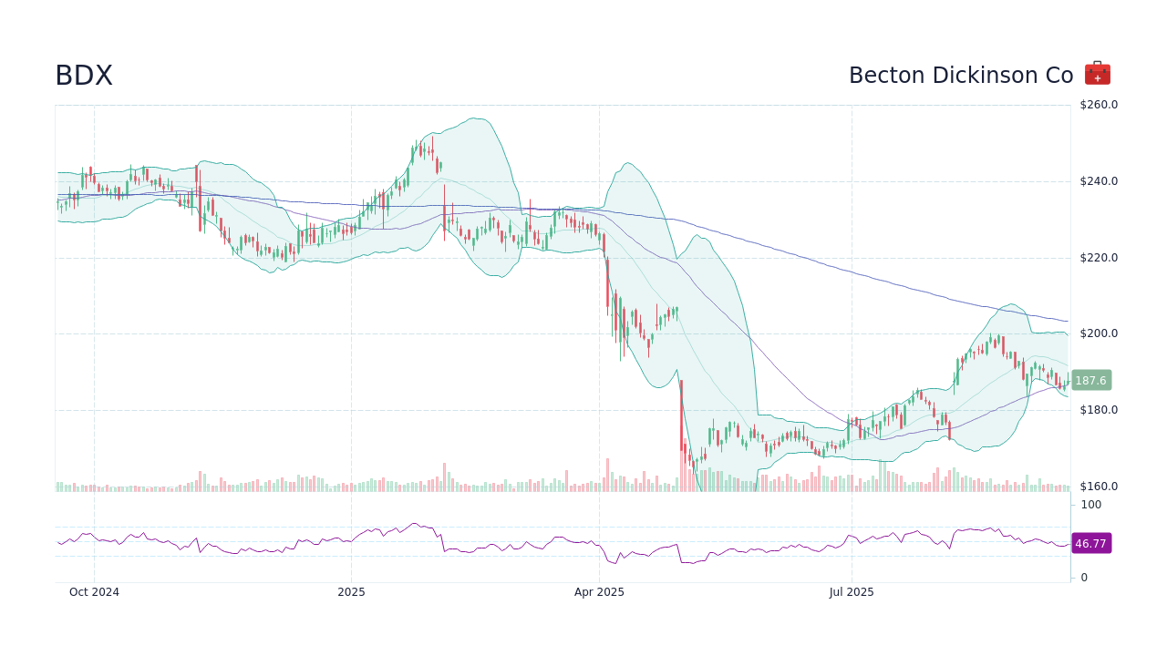 BDX Becton Dickinson Co Stock Price Forecast 2024, 2025, 2030 to 2050