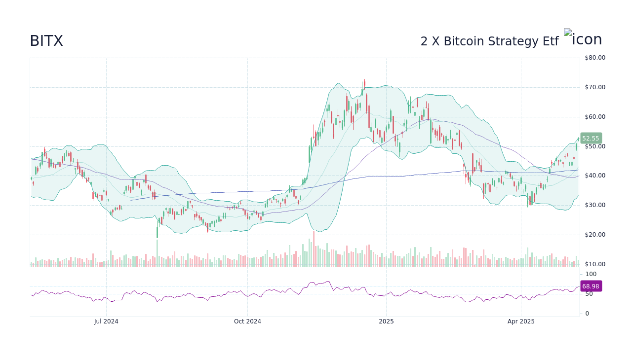 BITX 2 X Bitcoin Strategy Etf 주가 전망 StockScan