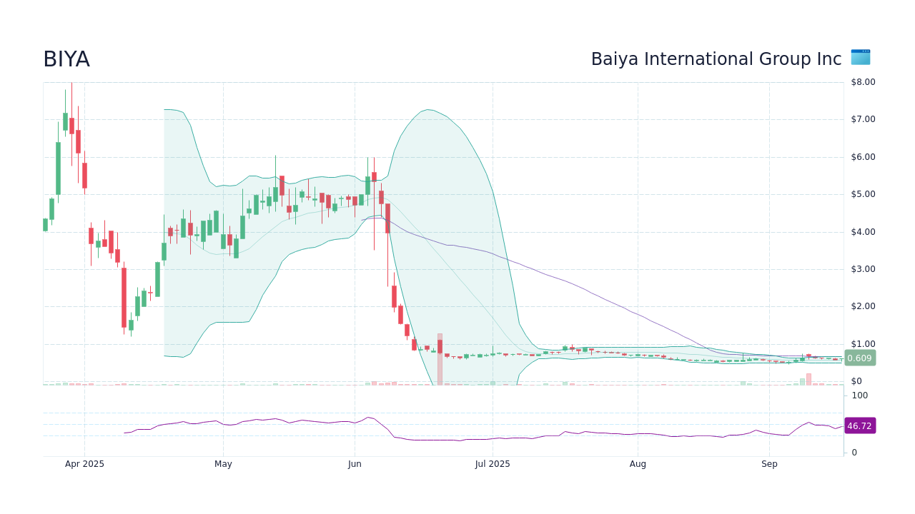 BIYA Stock Price - Baiya International Group Inc Stock Candlestick ...