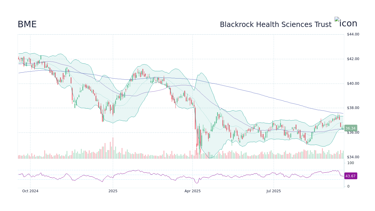 BME - Blackrock Health Sciences Trust Stock Price Forecast 2026, 2027 ...