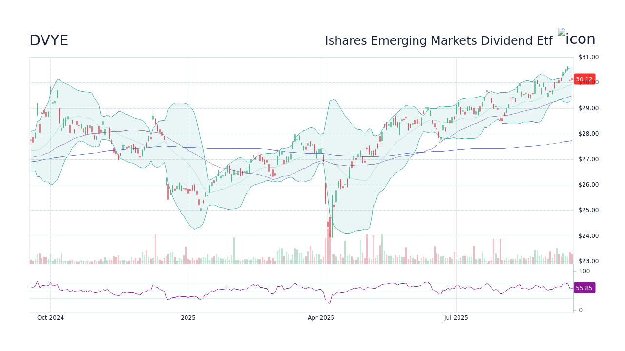 Dvye dividend (84) 사진
