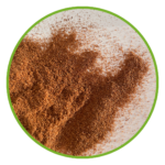 Close-up of high-value animal feed dried with superheated steam, providing improved nutritional value and extended shelf life.