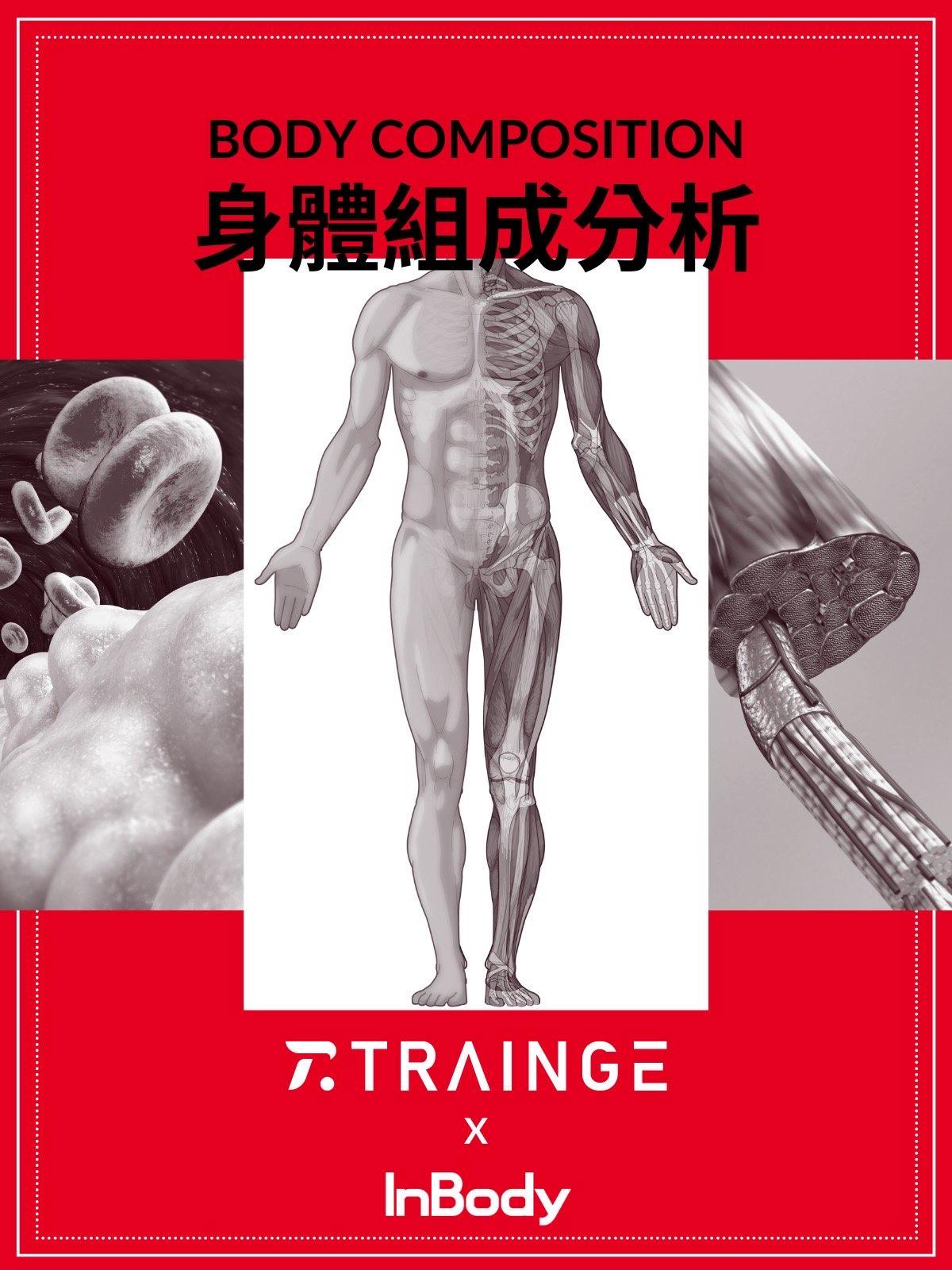 身體組成分析 - Trainge官方帳號