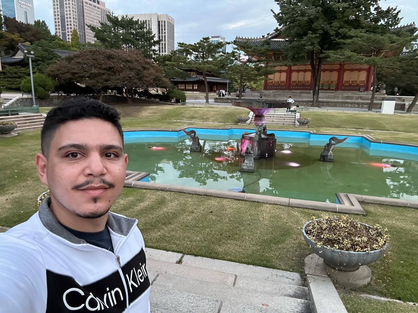 Deoksugung Palace, e sim eu tiro muita selfie