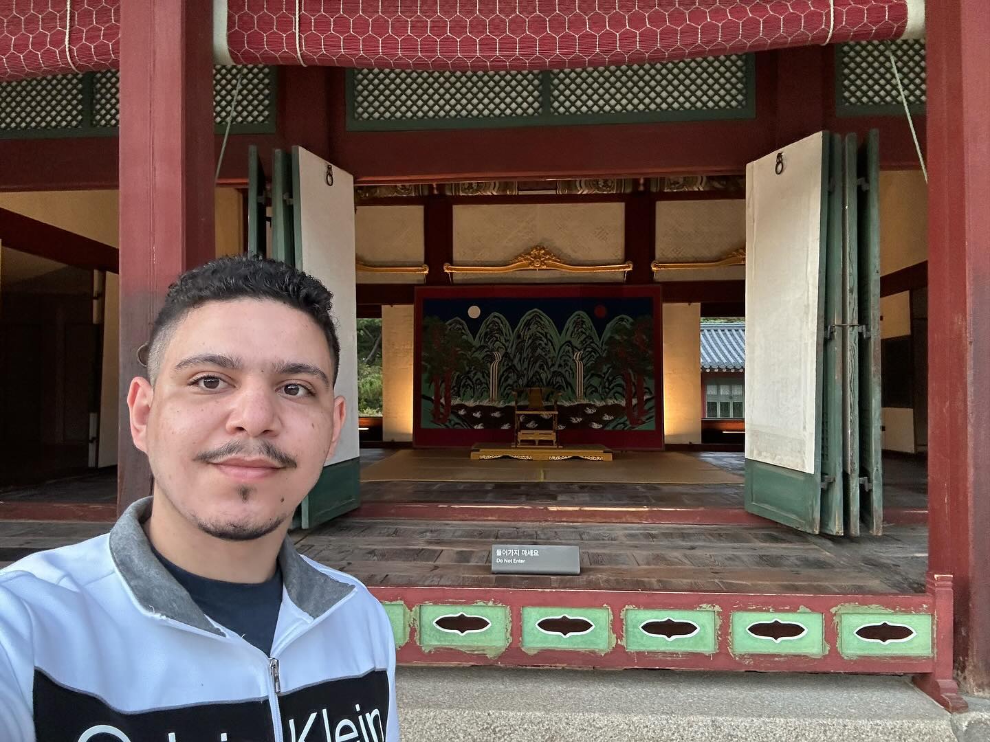 Deoksugung Palace, e sim eu tiro muita selfie