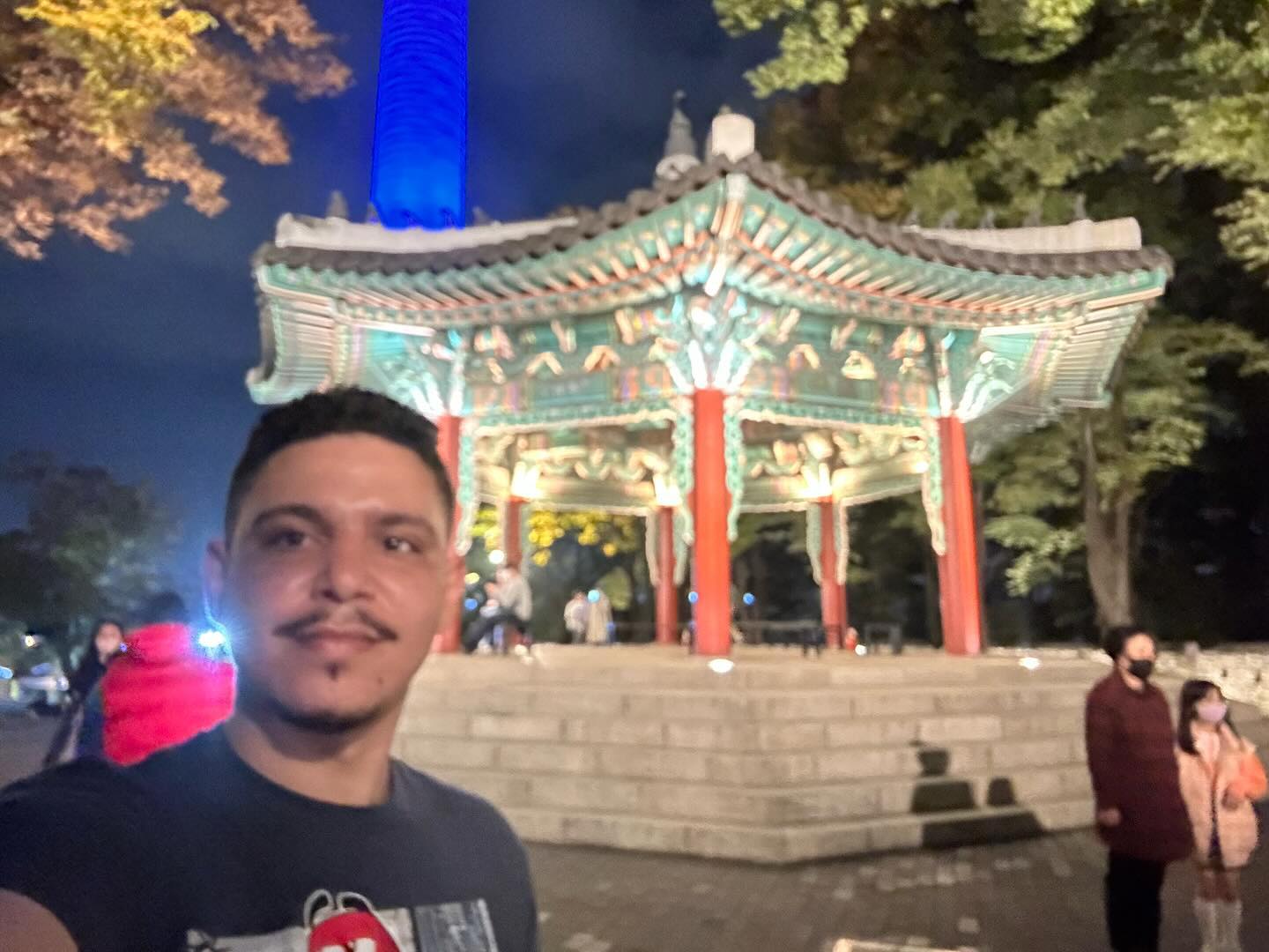 Não tinha nada pra fazer e decidi ir a pé do hotel em Insa-dong até à N Seoul Tower só indo na direção dela (da pra ver ela de qualquer lugar da cidade praticamente)