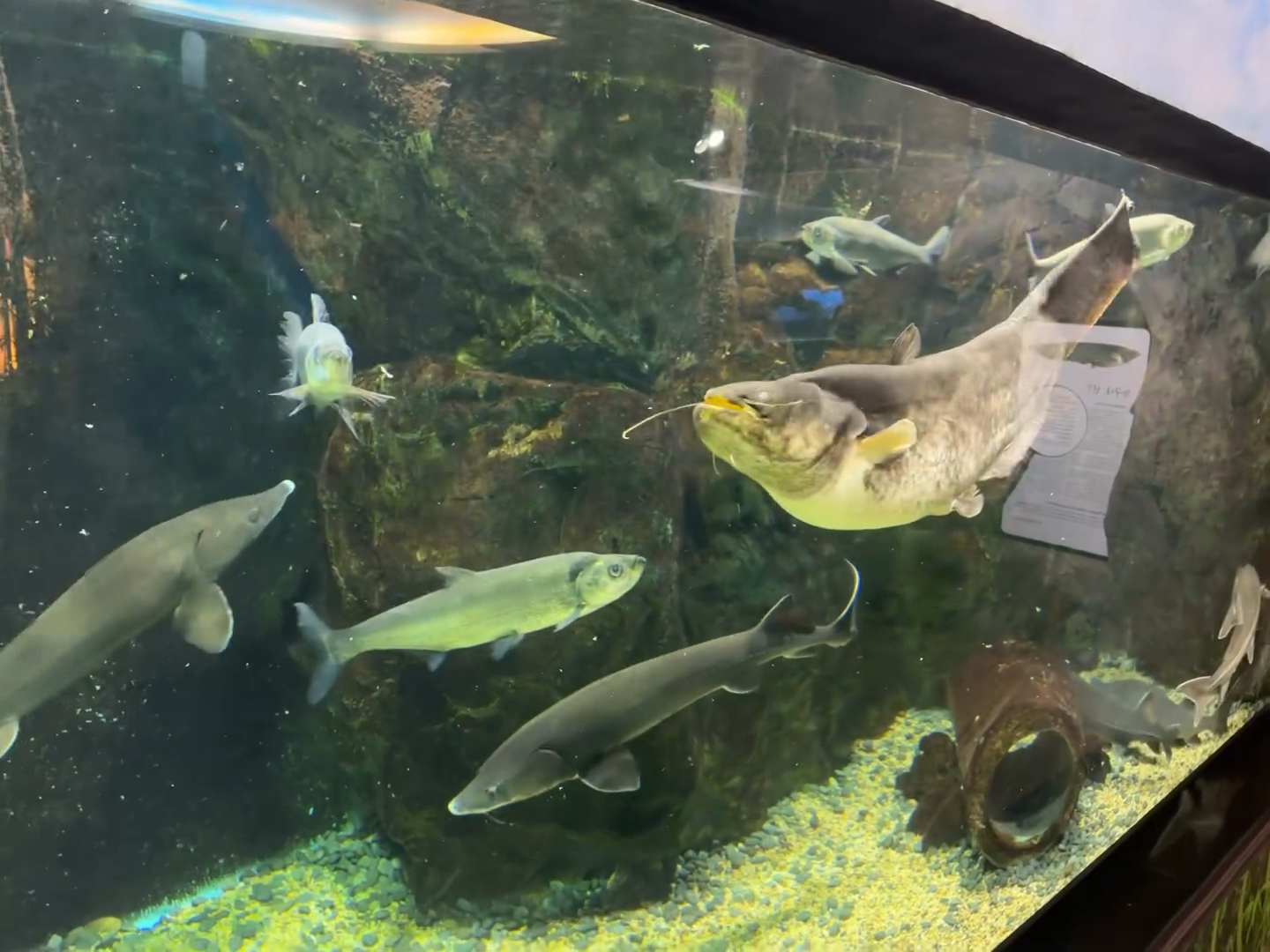Coex Aquarium - Part 1