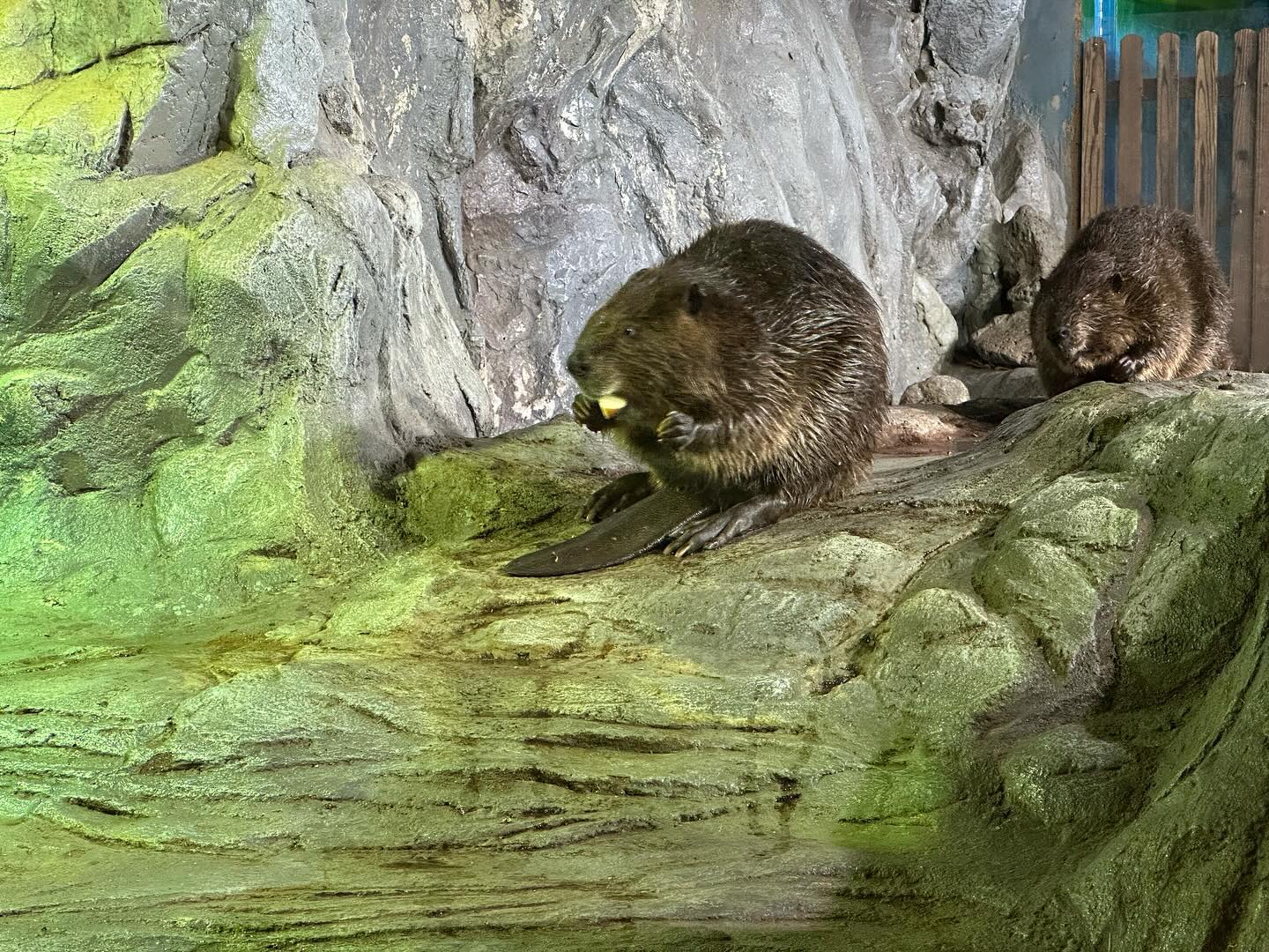 Coex Aquarium - Part 2