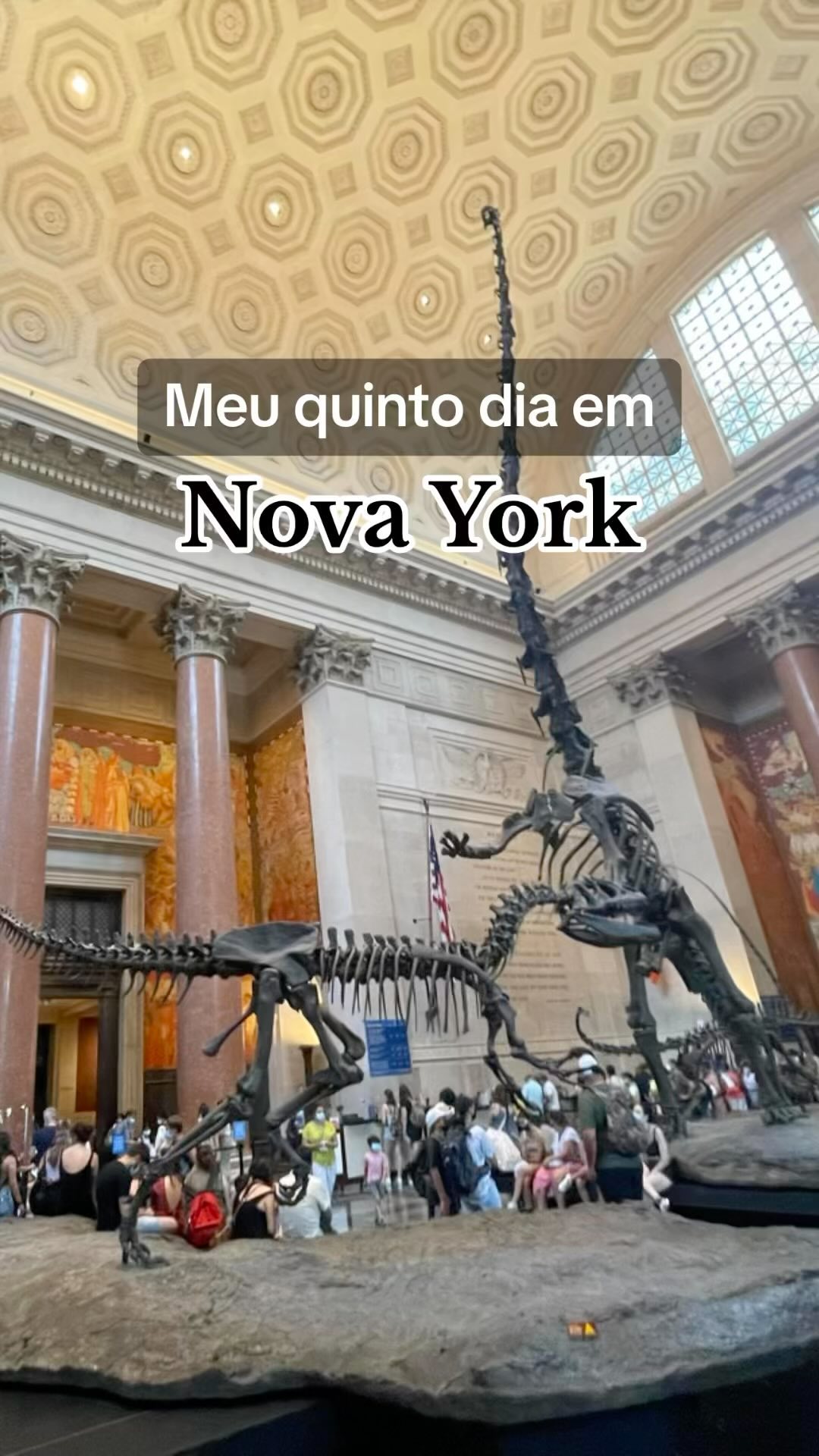 Meu quinto dia em Nova York