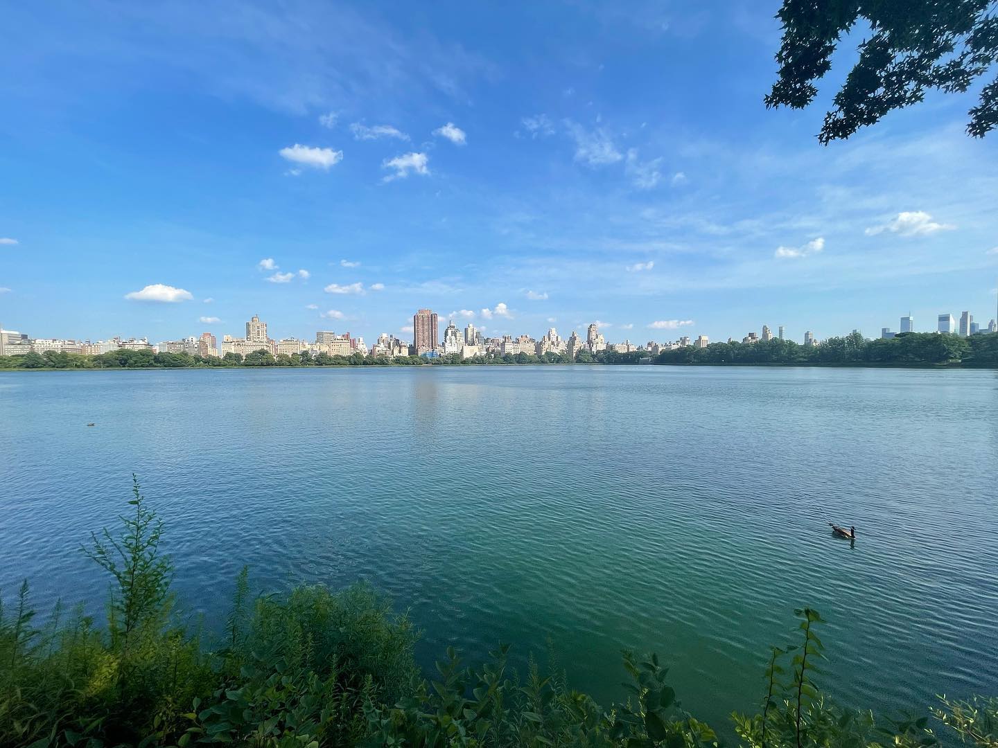 Bike tour in Central Park