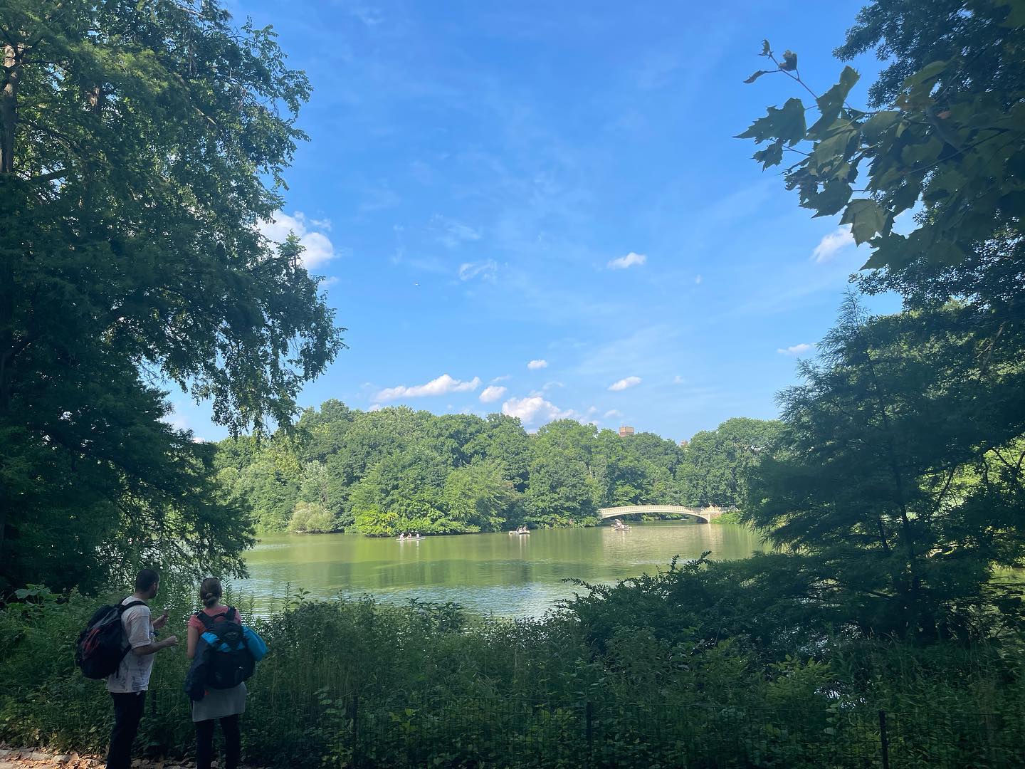 Bike tour in Central Park