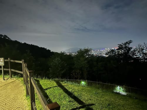 I had nothing to do and decided to walk from the hotel in Insa-dong to the N Seoul Tower just going in the direction of it (you can see it from anywhere in the city practically)