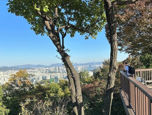 Mais algumas fotinhas legais em Namsan