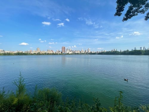 Passeio de bicicleta no Central Park