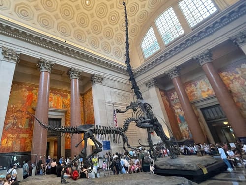 Visita ao American Museum of Natural History, passei o dia todo nele e ainda não consegui ver tudo