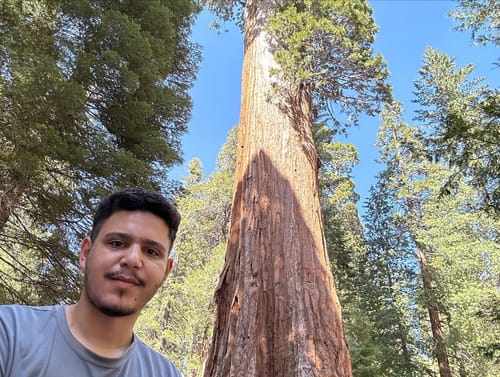 Parque Nacional da Sequoia 23/05/2023